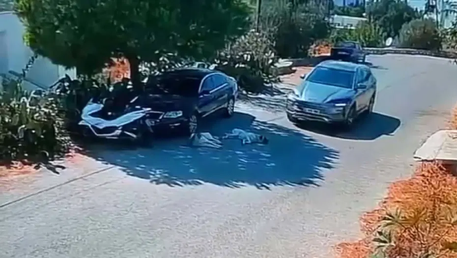 Bodrum'da Sürücü Otomobiliyle İki Köpeğin Üzerinden Geçti: Güvenlik Kamerası Kaydetti