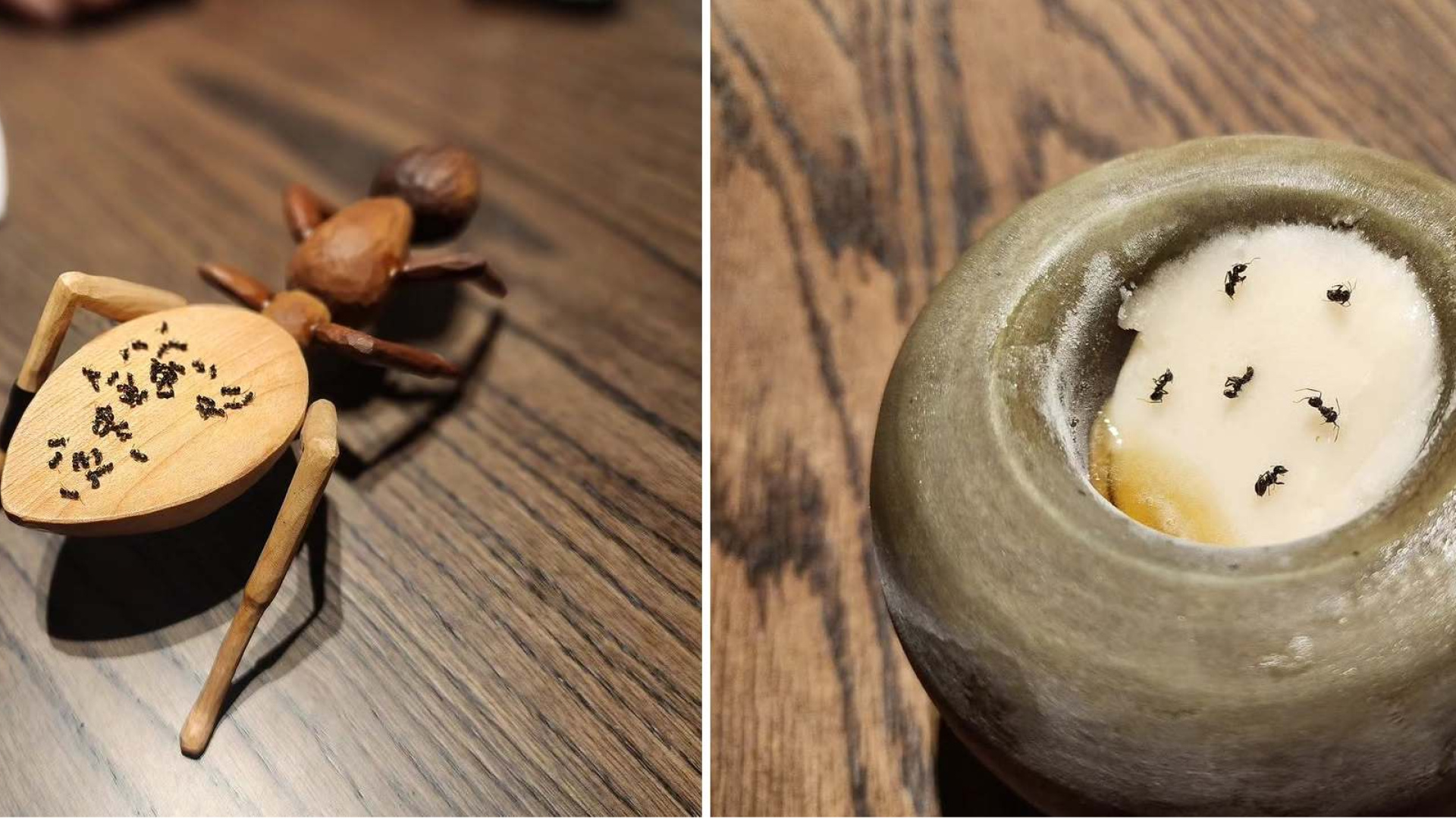 Seul'deki 2 Michelin Yıldızlı Restoran, 4 Yıl Boyunca Müşterilerine Karıncalı Tatlı Servis Etti