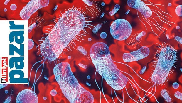 Her 3 Saniyede Bir Can Alan Sepsis: Belirtiler, Risk Grupları ve Korunma Yolları