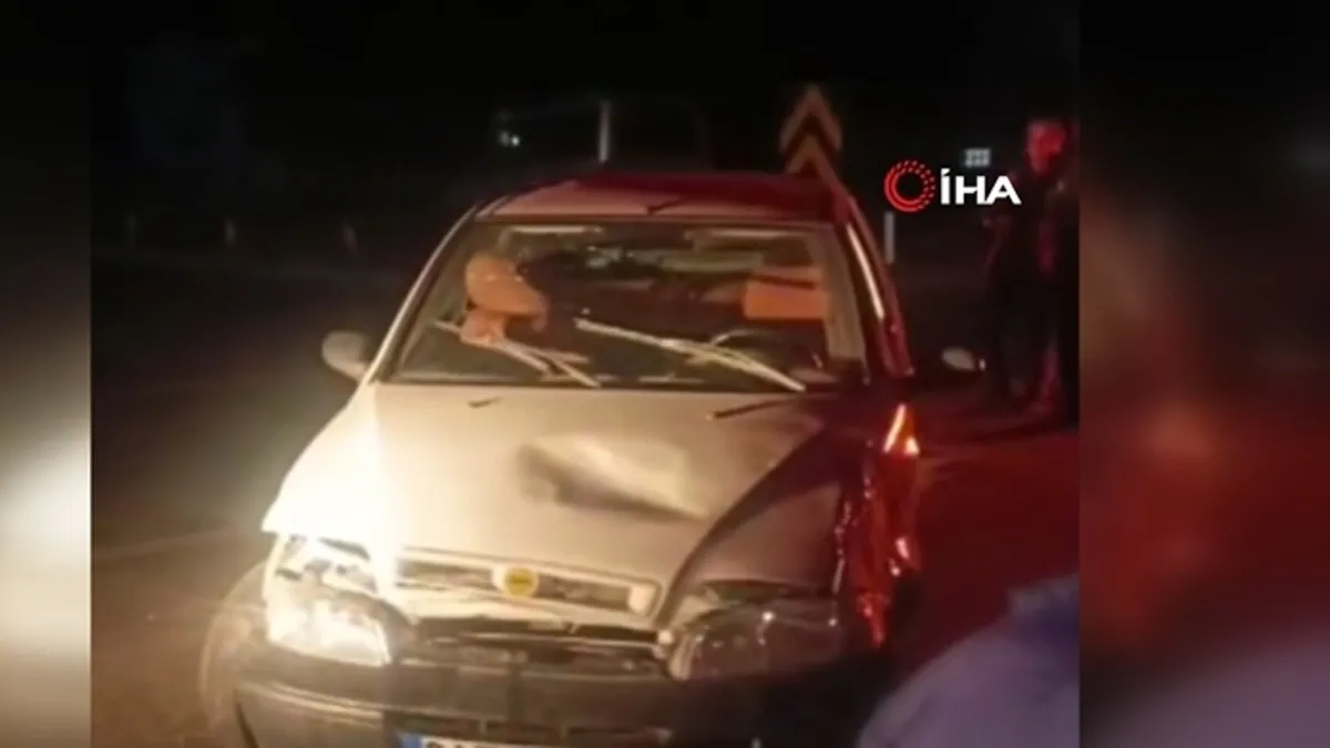 Van'ın Muradiye İlçesinde İki Araç Çarpıştı: 5 Kişi Yaralandı