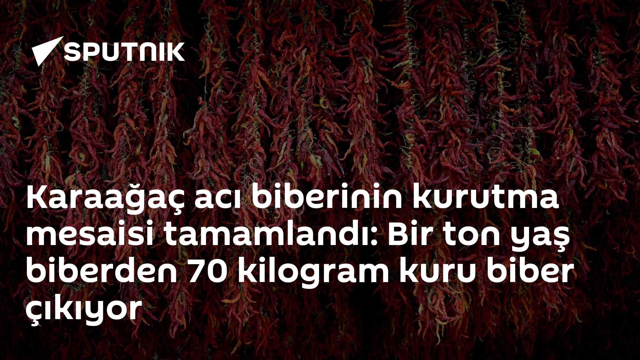 Edirne'nin Karaağaç Acı Biberi Kurudu: Bir Tondan Yalnızca 70 Kilo Çıkıyor