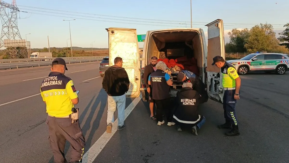 Kuzey Marmara'da 2 Ton 280 Kg Kaçak Midye Ele Geçirildi