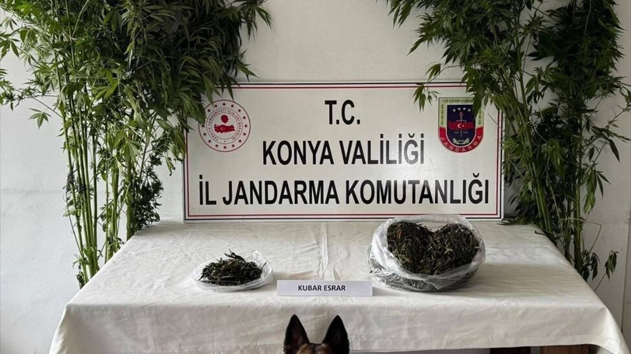 Konya'da Jandarma Operasyonlarında 10 Şüpheli Tutuklandı