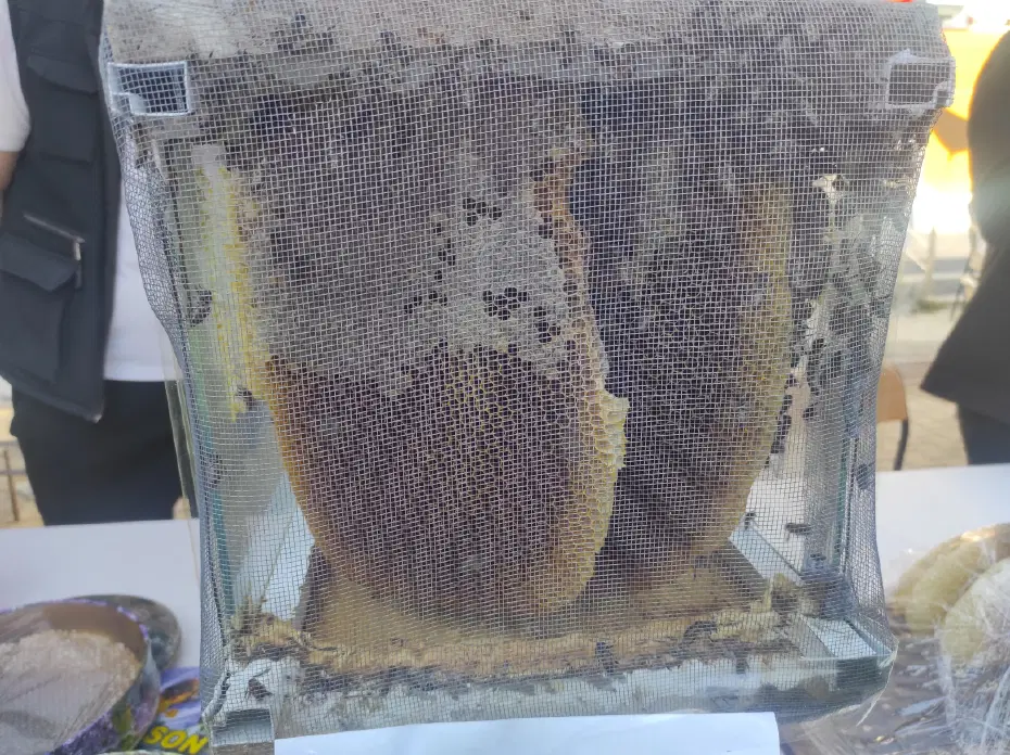 Sason'un Tescilli Balının Kilogramı Açık Artırmada 400 Bin Liraya Satıldı