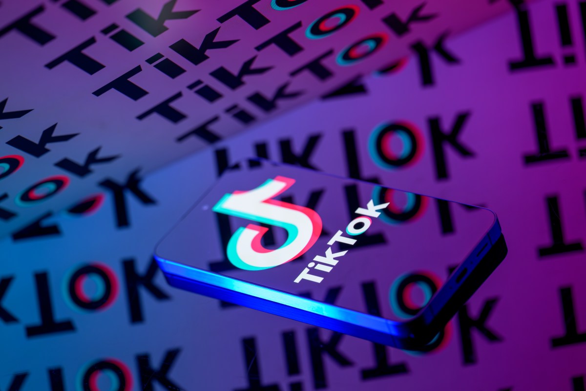 TikTok DM'lerine Gizli Timsah Zıplama Oyunu Eklendi