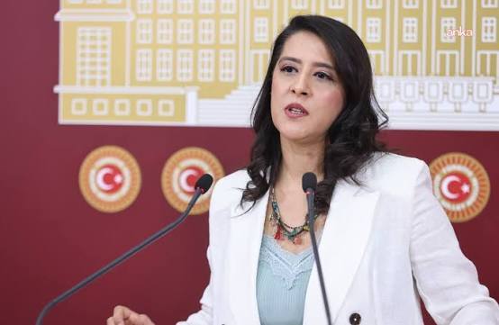 EMEP'li Karaca, gazeteci Derya Okatan'ın tutuklanmasındaki dijital delil muğlaklığını Meclis'e taşıdı