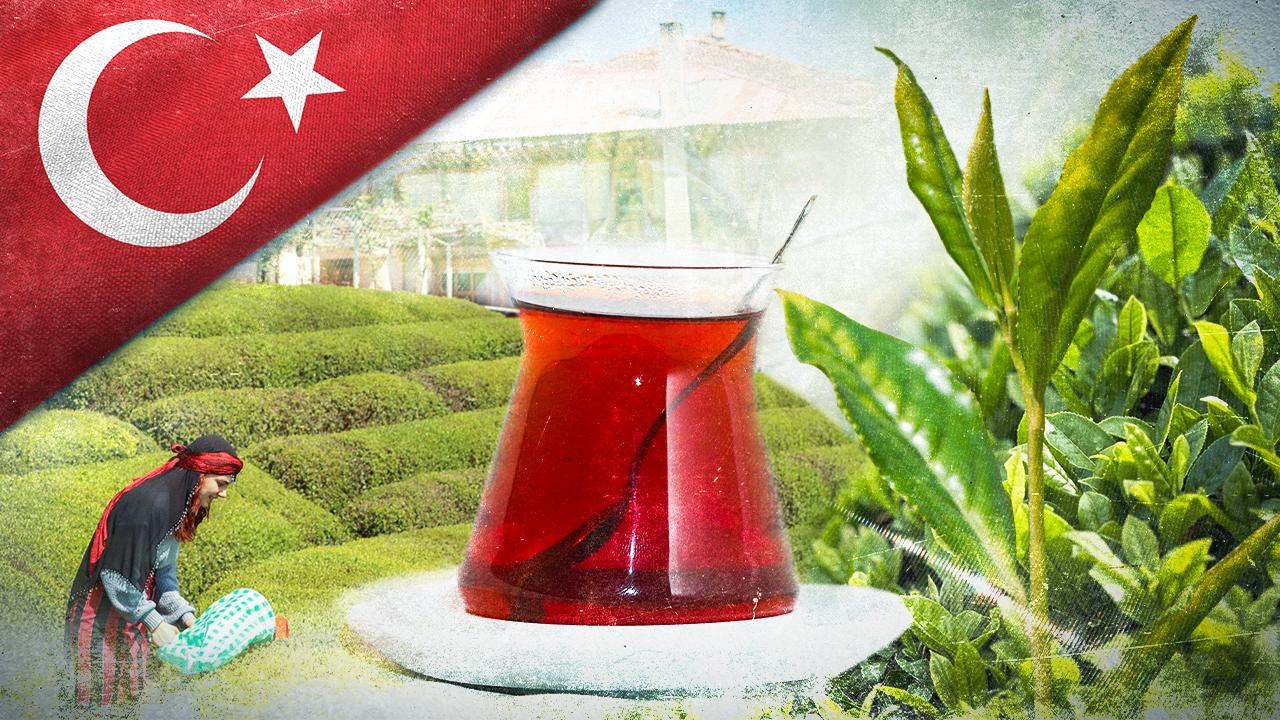 Türk Çayı 9 Ayda 119 Ülkeye Satıldı, İhracat 25 Milyon Doları Geçti