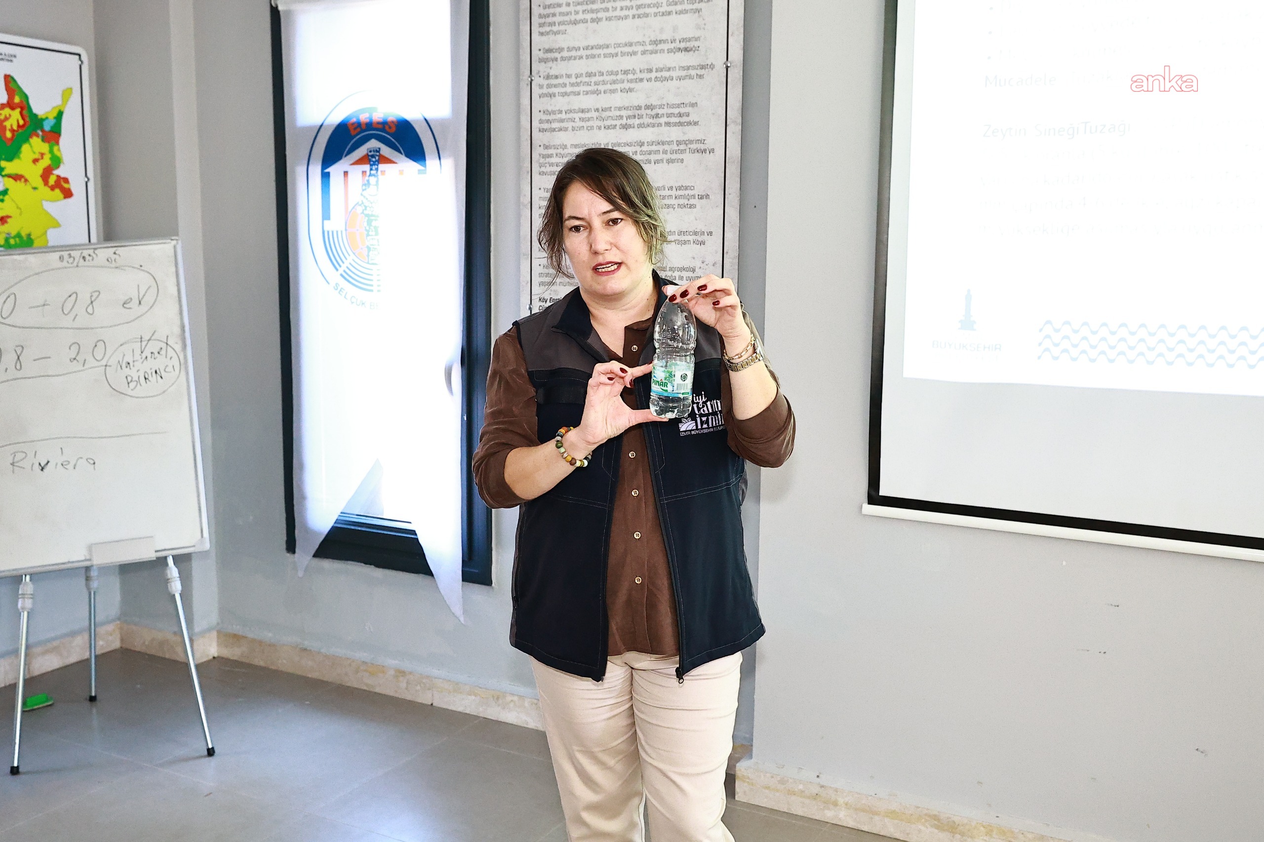 Efes Selçuk'ta Zeytin Üreticilerine Ücretsiz Budama ve Zararlılarla Mücadele Eğitimi Verildi
