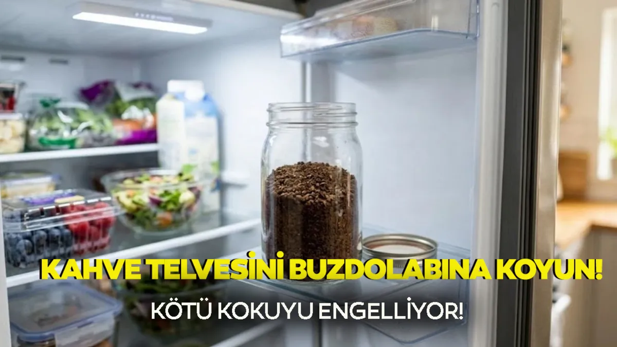 Türk Kahvesi Telvesini Buzdolabına Koymak Ne İşe Yarar?