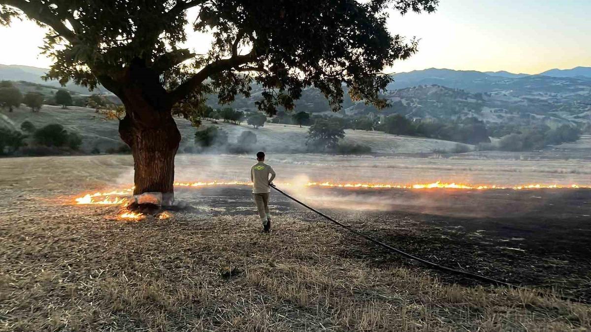 Hisarcık'ta Anız Yangını: 1 Hektar Tarım Arazisi Zarar Gördü