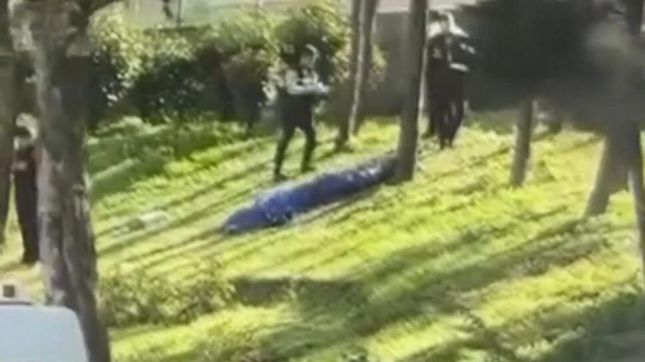 Esenler'de boş arazide İran uyruklu gencin cesedi bulundu