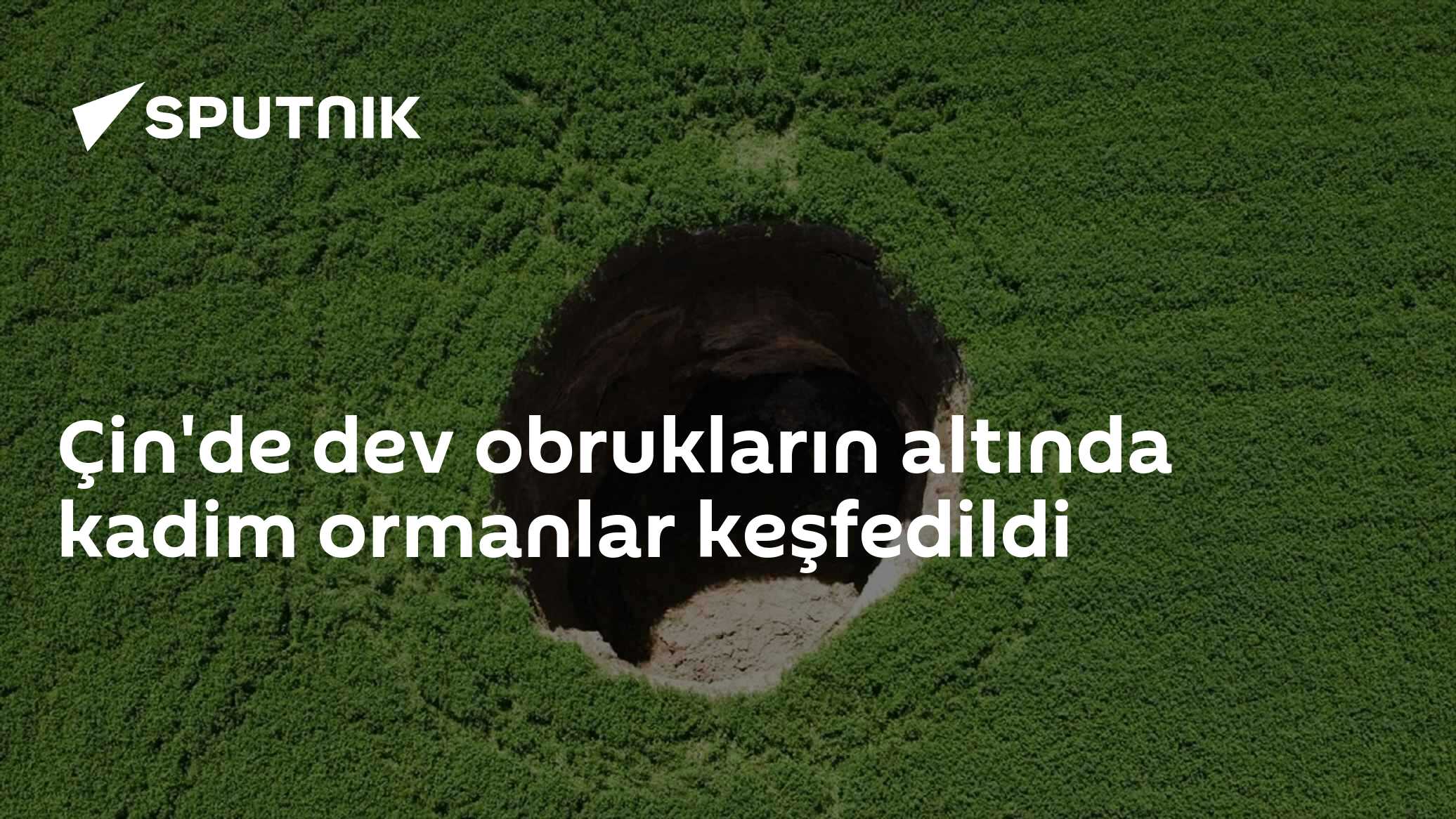 Çin'in dev obruklarının derinliklerinde keşfedilen kadim ormanlar bilim dünyasını heyecanlandırıyor