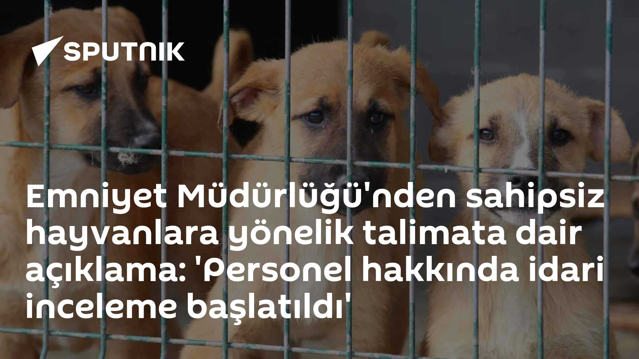 Erzurum Emniyeti'nden sokak hayvanları talimatı açıklaması: Gerçeği çarpıtan personel hakkında inceleme başlatıldı