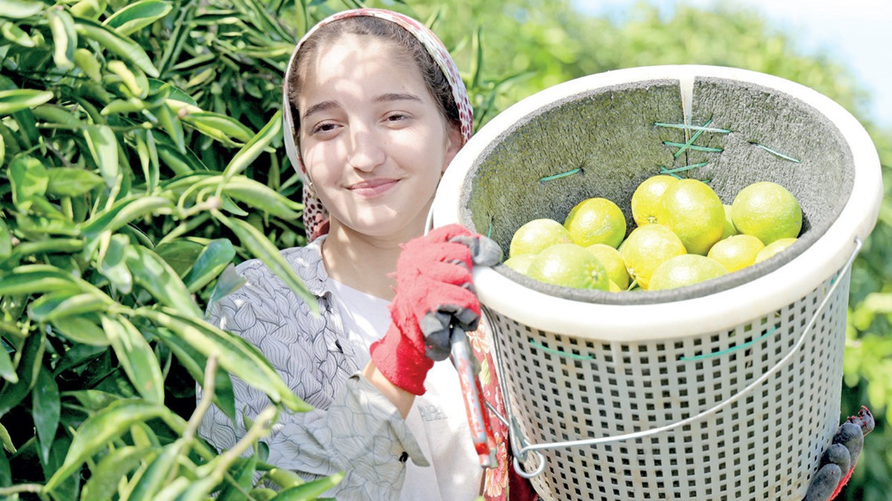 Karadeniz'de gemi trafiği durdu, Adana'da limon ve mandalina bahçede kaldı