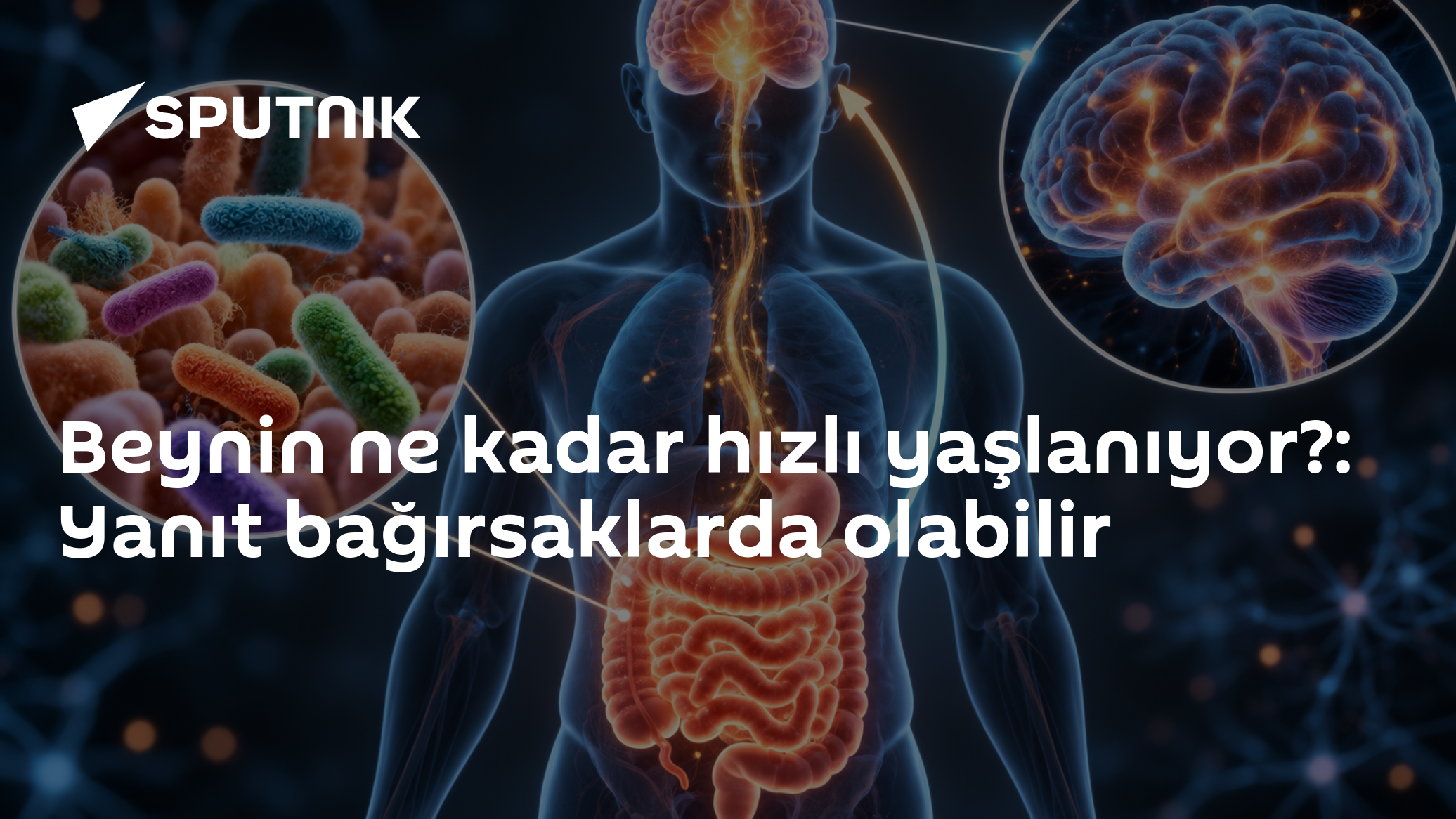 Bağırsak Bakterileri Beynin Yaşlanma Hızını Ele Veriyor Olabilir