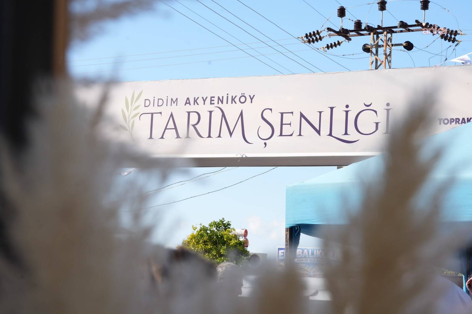 Didim'de ilk Tarım Şenliği tamamlandı: Dört gün boyunca üretici, uzman ve halk bir araya geldi