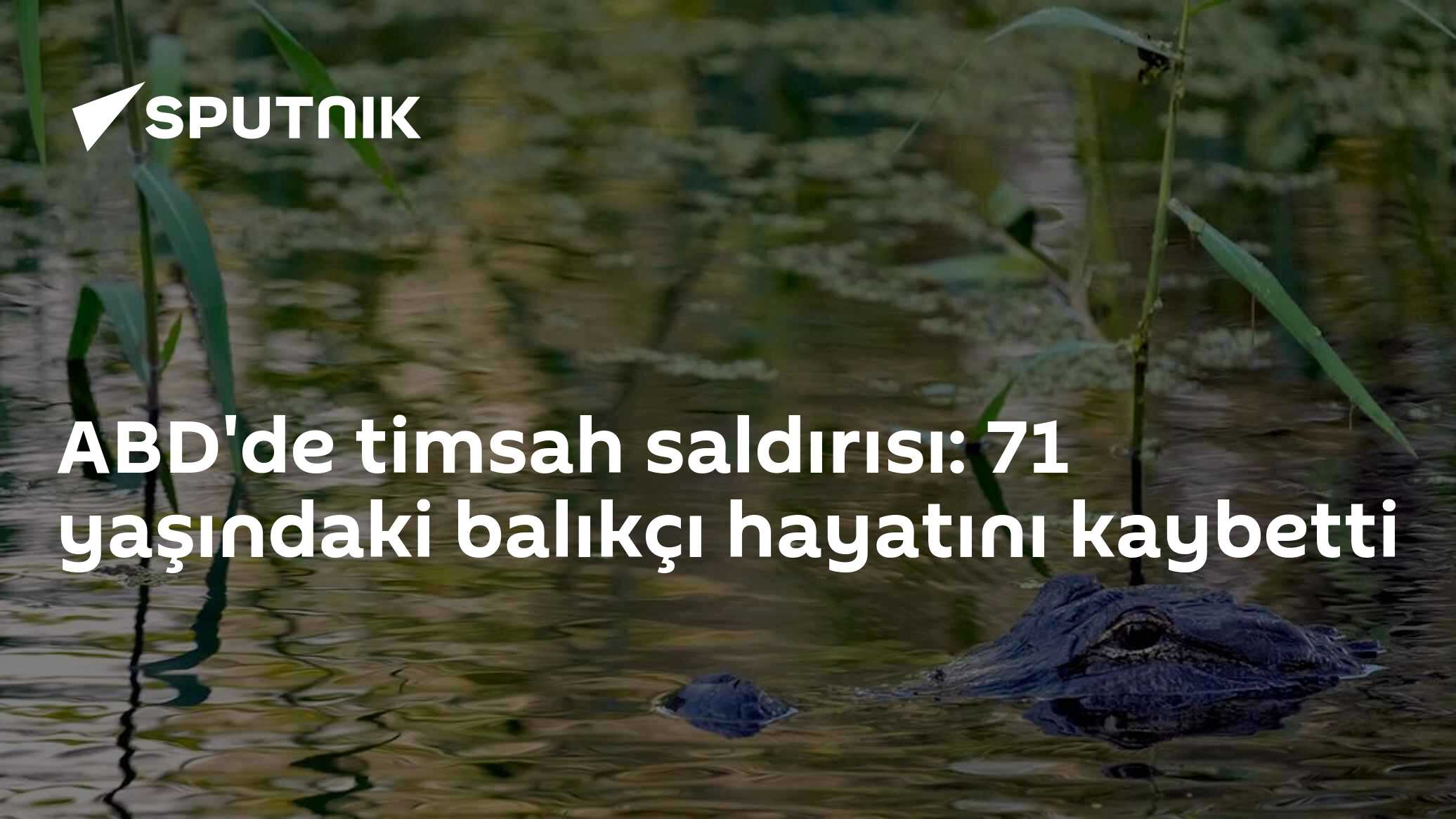 Florida'da timsah saldırısı: Apopka Gölü kıyısında balık tutan 71 yaşındaki adam hayatını kaybetti