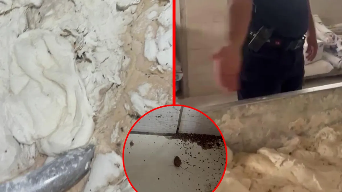 İskenderun'da Fırına Şok Baskın: Hamam Böceği, Sigara İzmariti ve Örümcek Ağı