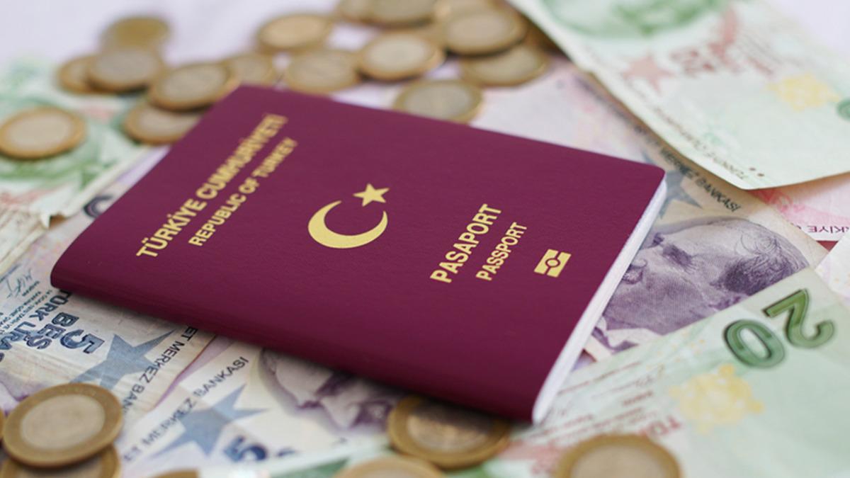 Vize danışmanlığı şirketlerine 'bot' operasyonu: 60 şüpheli hakkında gözaltı kararı, 370 milyon TL tahsilat tespit edildi