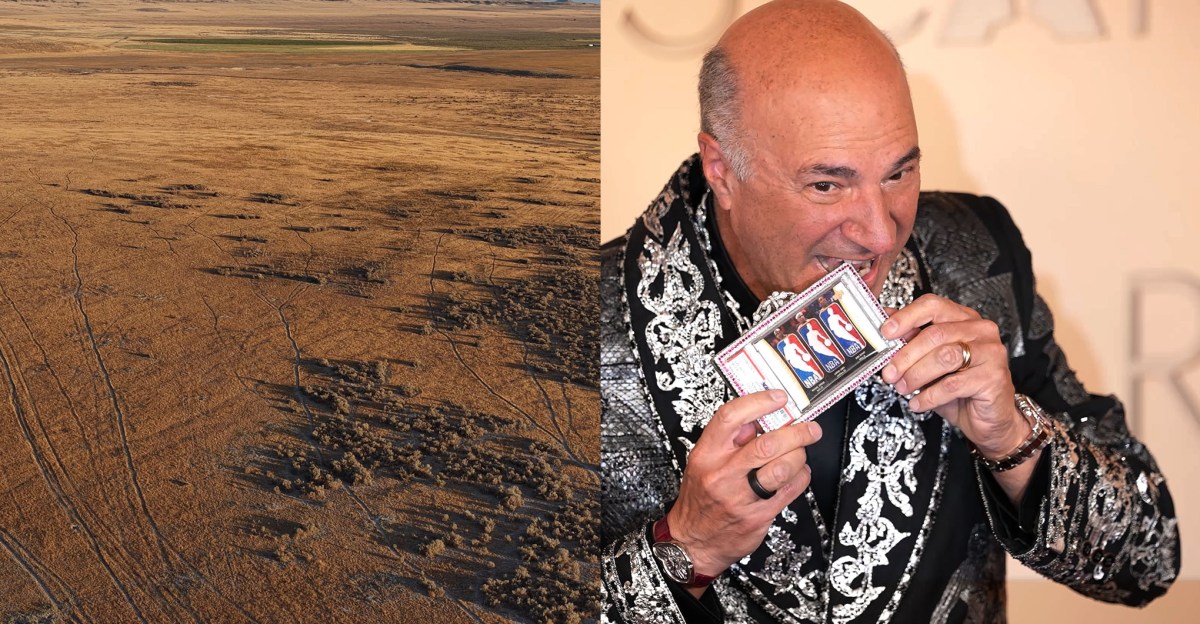 Shark Tank Yıldızı Kevin O'Leary'nin Utah'taki Dev Veri Merkezi Projesi Nasıl Halk İsyanına Dönüştü?