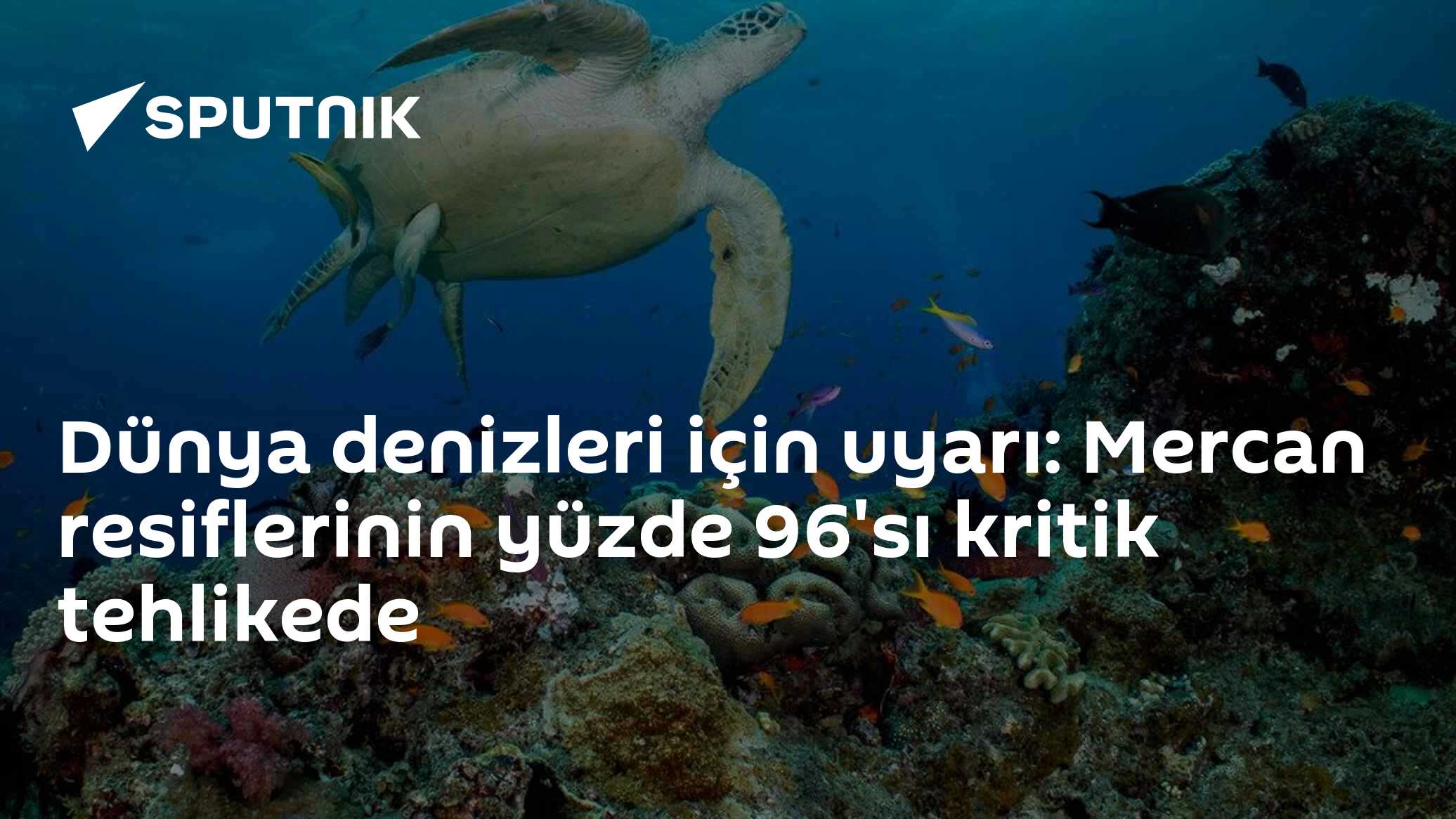 IUCN Raporu: İklim Değişikliği Mercan Resiflerinin Yüzde 96'sını Tehdit Ediyor