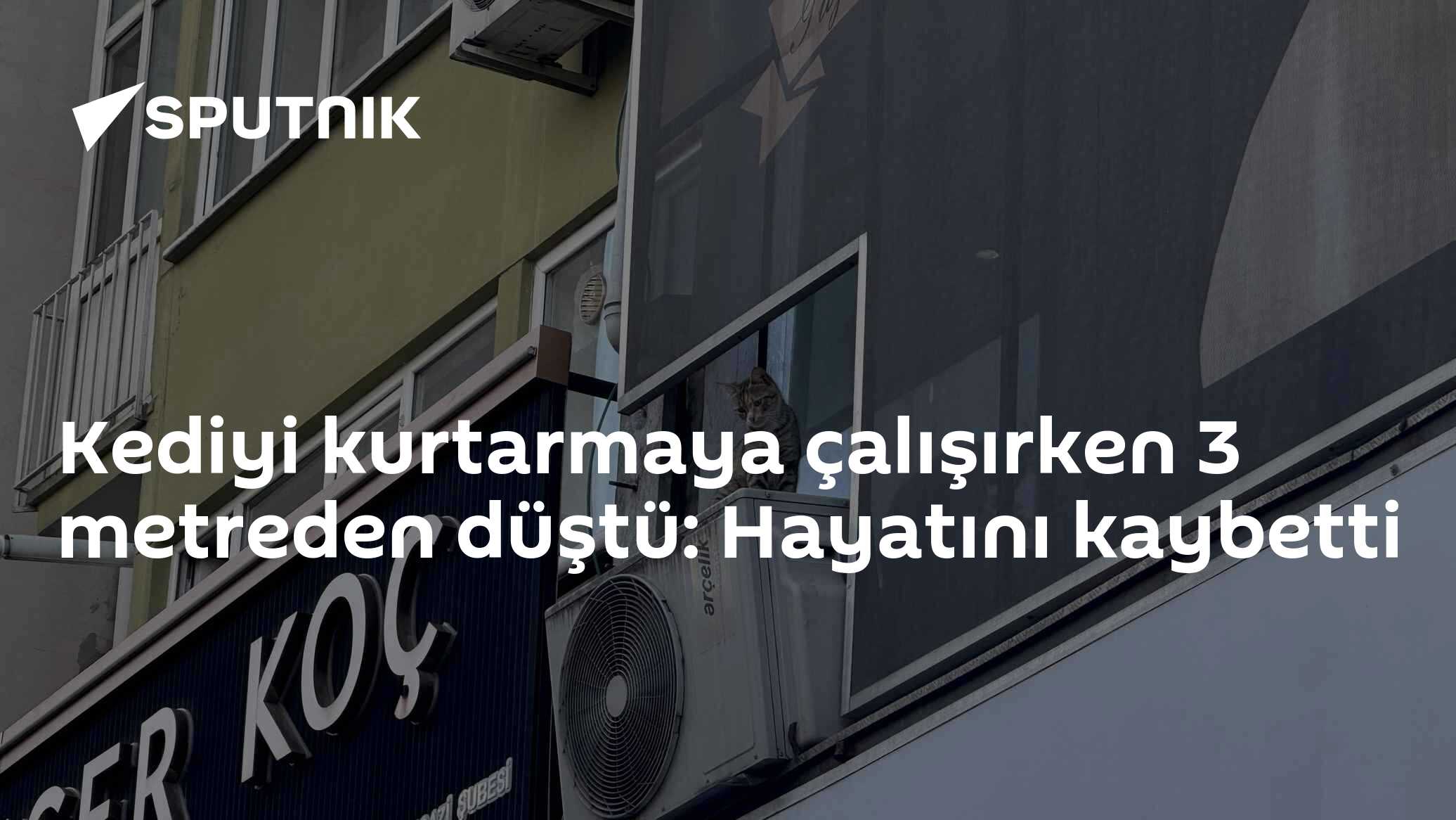 Mahsur kalan kediyi kurtarmaya çalışırken düştü, hastanede hayatını kaybetti