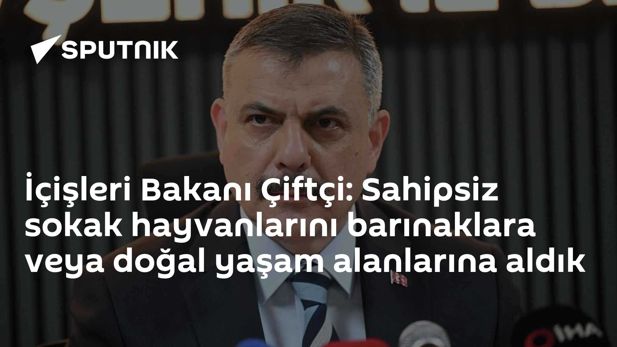 Çiftçi: Türkiye'de sahipsiz sokak hayvanlarını yüzde 100 topladık, süreç tamamlandı