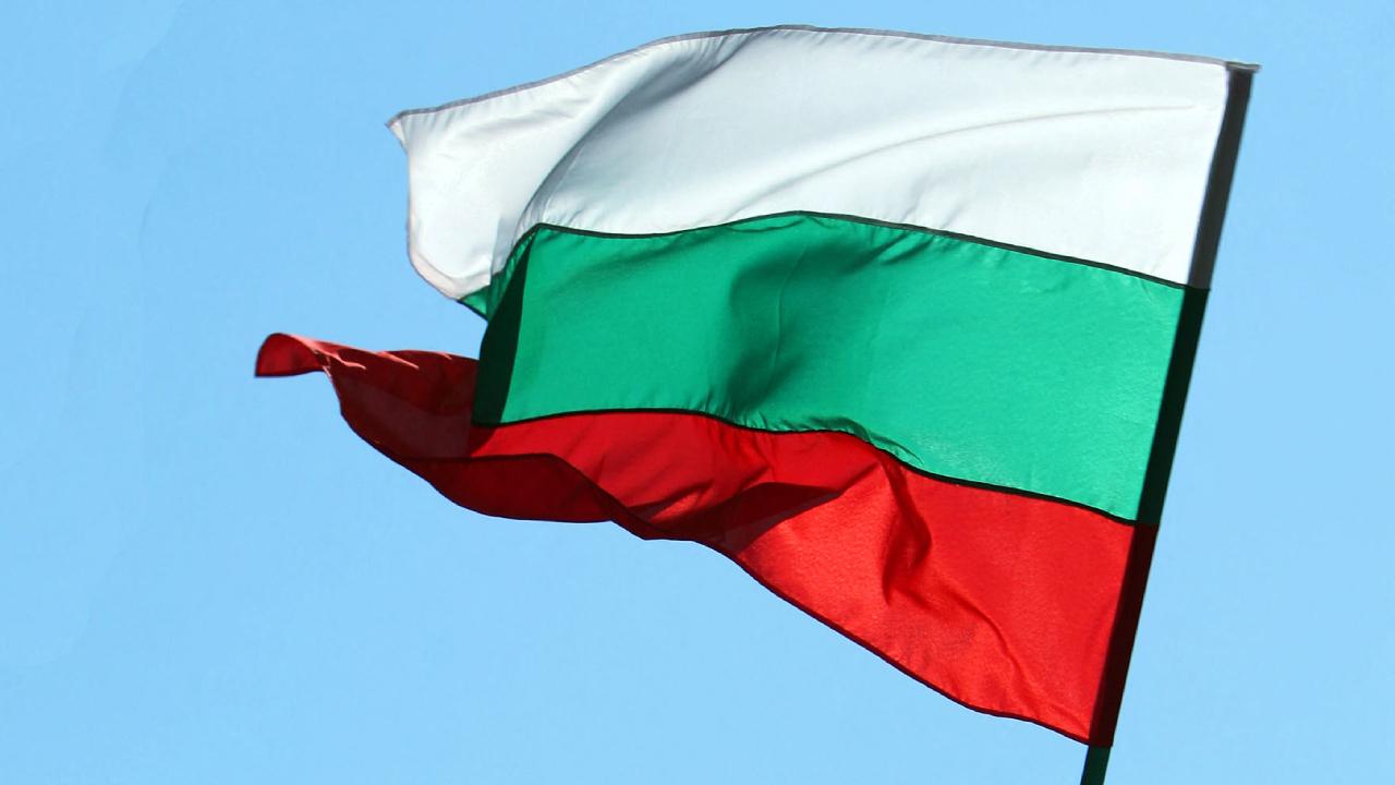 Bulgaristan cumhurbaşkanlığı seçiminin ilk turunda Yotova önde, ikinci tur 1 Kasım'da
